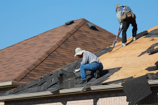 Best Emergency Roof Repair Services  in St Leo, FL