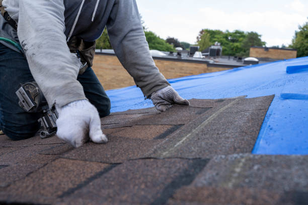 Best Roof Ventilation Installation  in St Leo, FL